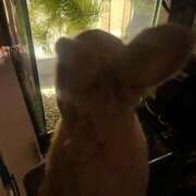 ヒメ日記 2026/02/16 02:59 投稿 ゆに デザインプリズム新宿