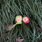 ヒメ日記 2026/03/09 02:43 投稿 ゆに デザインプリズム新宿