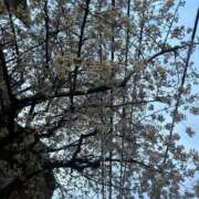 ヒメ日記 2026/03/29 18:20 投稿 ゆに デザインプリズム新宿