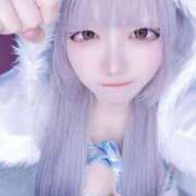 ヒメ日記 2025/11/04 07:01 投稿 ラプ きらめけ！にゃんにゃん学園in大宮