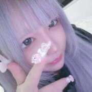 ヒメ日記 2026/02/15 23:47 投稿 ラプ きらめけ！にゃんにゃん学園in大宮