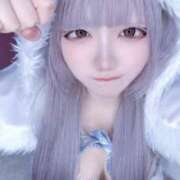 ラプ 本日最終日‼️ きらめけ！にゃんにゃん学園in大宮