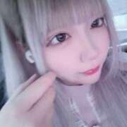 ラプ スタート枠🈵‼️ きらめけ！にゃんにゃん学園in大宮