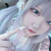 ヒメ日記 2026/04/12 17:15 投稿 ラプ きらめけ！にゃんにゃん学園in大宮