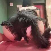 ヒメ日記 2025/11/04 18:45 投稿 ひなた♡極上SPコース♡ PANTHER（パンサー）