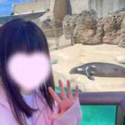 ヒメ日記 2026/03/29 16:11 投稿 花蝶あげは ウルトラセレクション