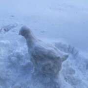 ヒメ日記 2025/12/27 18:21 投稿 きあら WHITE（金沢）