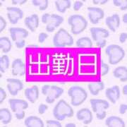 ヒメ日記 2026/05/12 15:20 投稿 七海 錦糸町おかあさん