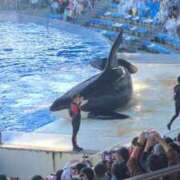 ヒメ日記 2025/11/22 19:31 投稿 れん 吉野ケ里人妻デリヘル 「デリ夫人」