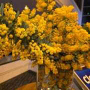 ヒメ日記 2026/03/09 23:20 投稿 れん 吉野ケ里人妻デリヘル 「デリ夫人」