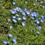 ヒメ日記 2026/03/11 21:27 投稿 れん 吉野ケ里人妻デリヘル 「デリ夫人」