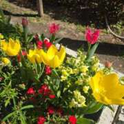 ヒメ日記 2026/03/23 19:15 投稿 れん 吉野ケ里人妻デリヘル 「デリ夫人」