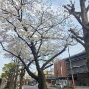 ヒメ日記 2026/03/29 17:52 投稿 れん 吉野ケ里人妻デリヘル 「デリ夫人」