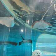 ヒメ日記 2026/04/10 16:57 投稿 れん 吉野ケ里人妻デリヘル 「デリ夫人」