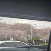 ヒメ日記 2026/04/13 16:24 投稿 れん 吉野ケ里人妻デリヘル 「デリ夫人」