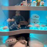 りん 🐑🌙 11チャンネル