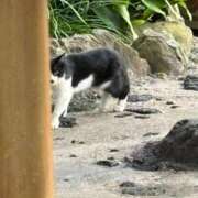 ヒメ日記 2026/04/16 09:08 投稿 りん 11チャンネル