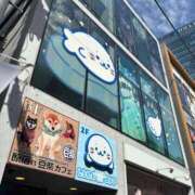 ヒメ日記 2026/04/20 11:18 投稿 りん 11チャンネル