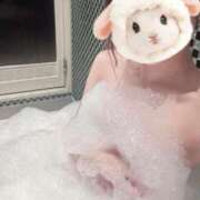 ヒメ日記 2025/12/17 11:02 投稿 まや 東京メンズボディクリニック TMBC 渋谷店