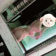 ヒメ日記 2026/01/13 11:52 投稿 まや 東京メンズボディクリニック TMBC 渋谷店