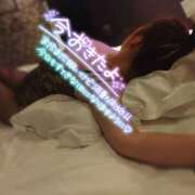 ヒメ日記 2025/11/12 08:00 投稿 りかこ ミセス クリエーション