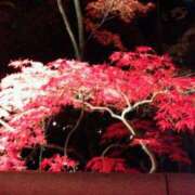 かのん おはようございます 熟女総本店