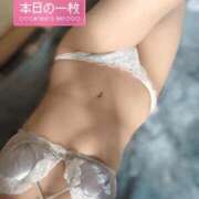 ヒメ日記 2026/02/16 09:13 投稿 りん ドMバスターズ岡崎・安城・豊田店