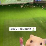 ほし ゴルフしてるー？ ハピネス東京 吉原店