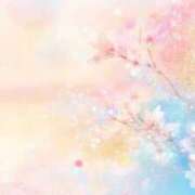 ヒメ日記 2026/05/17 19:00 投稿 さくら S級鑑定団