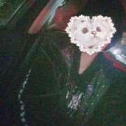 ヒメ日記 2025/11/19 00:17 投稿 姫野ふみ 渋谷ガーデン