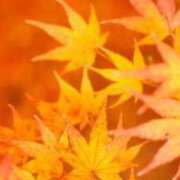 くう 出勤中!! 2980円