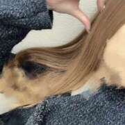 ヒメ日記 2025/11/04 09:00 投稿 ゆな 恋する人妻