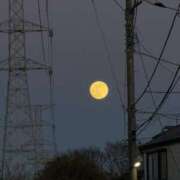 ヒメ日記 2026/01/05 10:24 投稿 ゆな 恋する人妻