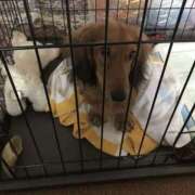 ヒメ日記 2025/12/07 12:12 投稿 くう 川越ぽちゃまに