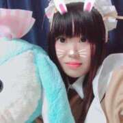 ヒメ日記 2025/12/20 19:42 投稿 くう 川越ぽちゃまに