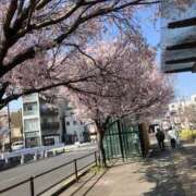 ヒメ日記 2026/03/29 00:52 投稿 くう 川越ぽちゃまに