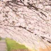 ヒメ日記 2026/04/11 12:32 投稿 みつき 美熟女倶楽部Hip's 春日部店