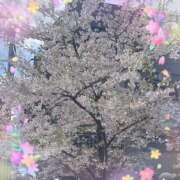 菜々緒(ななお) 月曜☀️ PLUS梅田店