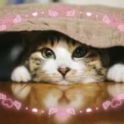 ヒメ日記 2025/11/02 19:38 投稿 富田 西川口デッドボール