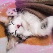 ヒメ日記 2025/11/19 10:28 投稿 富田 西川口デッドボール