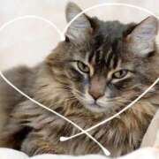 ヒメ日記 2025/12/29 23:38 投稿 富田 西川口デッドボール