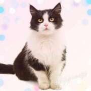 ヒメ日記 2026/01/10 13:08 投稿 富田 西川口デッドボール