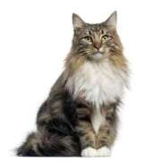 ヒメ日記 2026/01/27 18:48 投稿 富田 西川口デッドボール