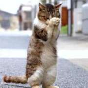 ヒメ日記 2026/01/28 16:18 投稿 富田 西川口デッドボール