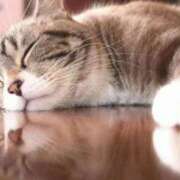 ヒメ日記 2026/02/09 07:38 投稿 富田 西川口デッドボール