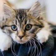 ヒメ日記 2026/02/10 20:48 投稿 富田 西川口デッドボール