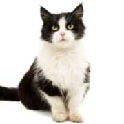 ヒメ日記 2026/02/13 10:59 投稿 富田 西川口デッドボール