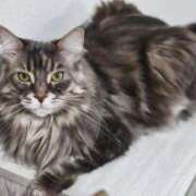 ヒメ日記 2026/02/16 20:22 投稿 富田 西川口デッドボール