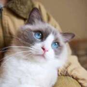 ヒメ日記 2026/04/02 03:48 投稿 富田 西川口デッドボール