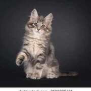 富田 ありがとうございました☺️ 西川口デッドボール